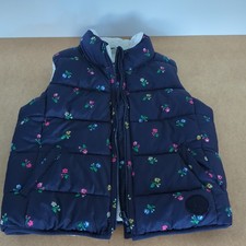 GAP Girls Blue floral Print