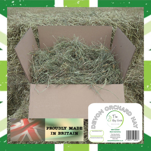3kg devon orchard hay - hay, for