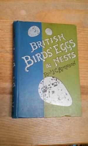 British birds eggs - &, nests