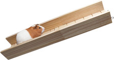 Guinea Pig Climbing Ramp