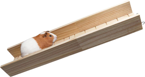 Guinea pig climbing ramp - guinea,