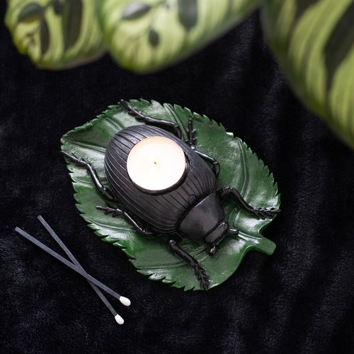 Quirky garden beetle leaf - quirky,