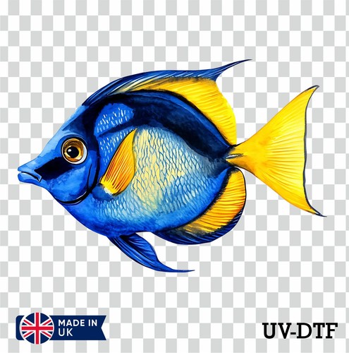 Blue tang fish dtf - blue,