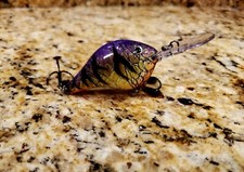 Custom Painted Rapala DT-8