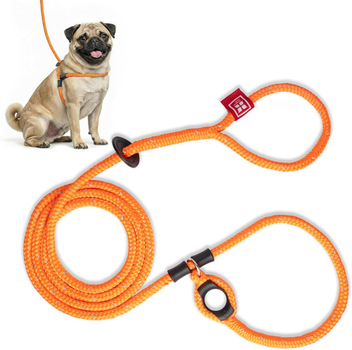 Pull dog harness and - no,