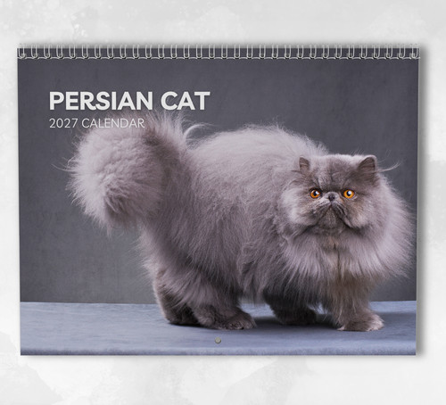 Persian cat calendar 2027 - persian,