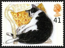 Black & white cat on 1995