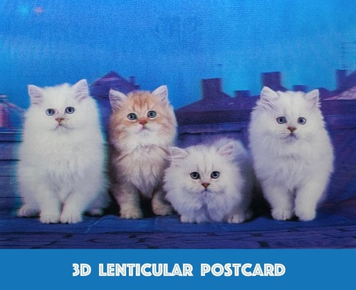 Cats lenticular postcard - cats,