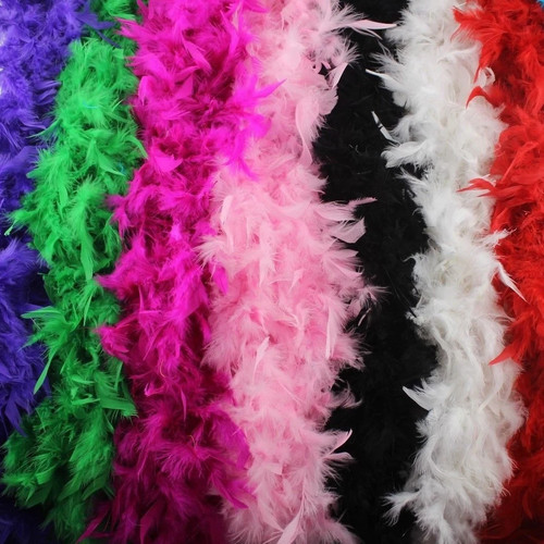 Feather boa costume - 2m,