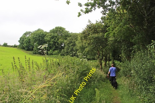 Photo 12x8 woods below - 12x8,