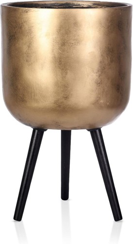 Gold plant pot legs - plant, on