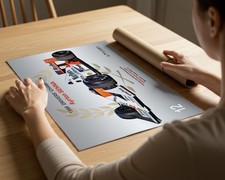 Ayrton Senna F1 Champion