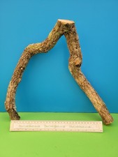 Cork bark branch - cork,
