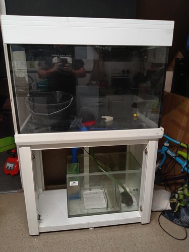 3ft fish tank - , stand