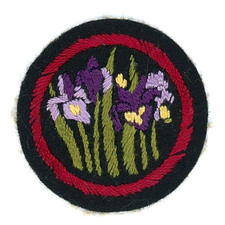 Early Rare Felt Girl Guides