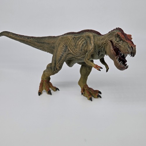 Tyrannosaurus rex display - rex,