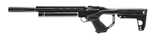 Umarex Notos Carbine .22