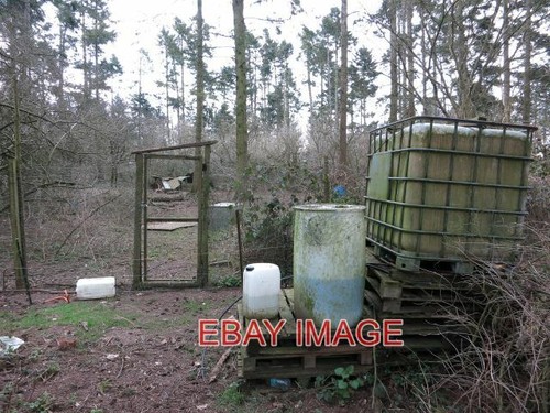 Photo pheasant rearing - ,
