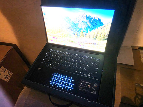Asus zenbook oled - zenbook, 14
