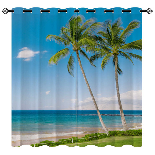 Palm tree tropical - &,
