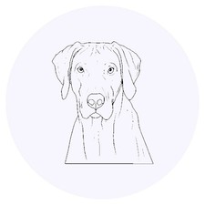 24 x 'Rhodesian Ridgeback Dog