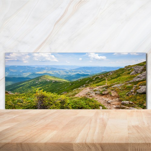 Kitchen glass splashback - kitchen,