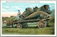 EXAGGERATED FISHING 1921 ANTIQUE POSTCARD HAY RACK OF FISH
