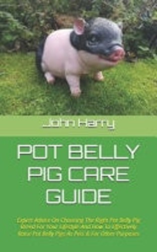 Pot belly pig - belly, guide