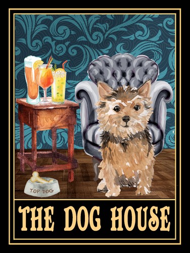 Norfolk terrier the dog house - norfolk,