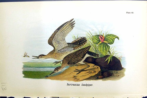 Original old antique - antique, print