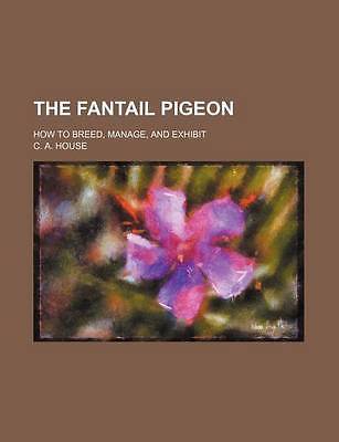 The fantail pigeon - how, to