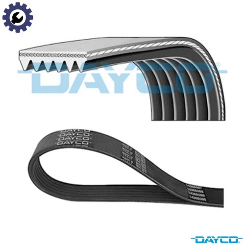 Vribbed belt 6pk2400 - belt, skoda