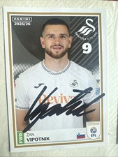 Swansea City Zan Vipotnik Hand