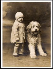 OLD ENGLISH SHEEPDOG AND