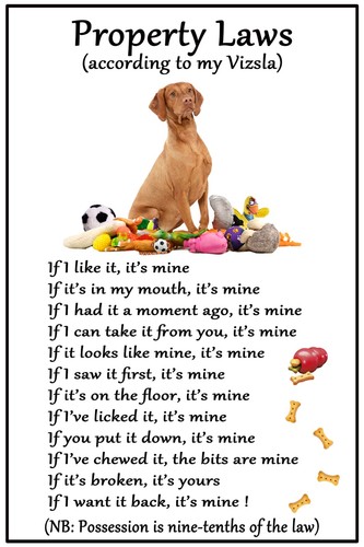 Hungarian vizsla gift - vizsla,