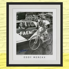 Eddy merckx signed print - eddy, print-