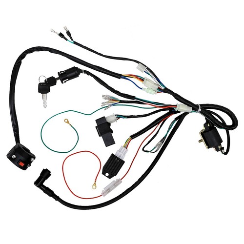 Wiring harness light wire - wiring,