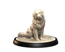 Dogs2 - Leonberger 2