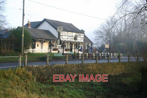Photo black horse - photo,
