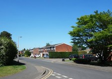 Photo 6x4 Gorse Ride North