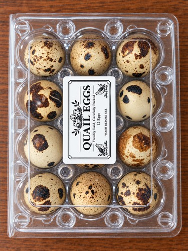 12x fresh quail eggs - eggs,