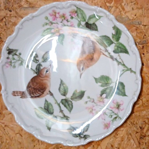 Royal albert country walk - royal,