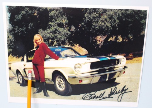 1966 carroll shelby mustang - 1966,