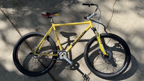 Bianchi 26in 1 speed - g.u.s.s.,