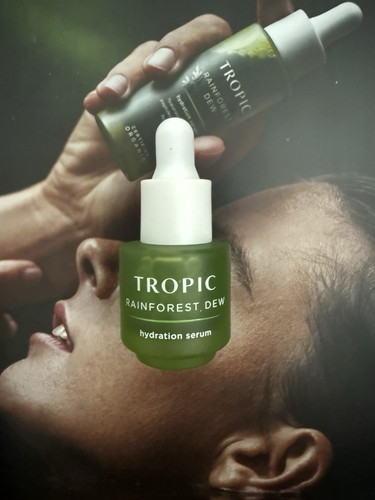 Tropic rainforest dew - rainforest,