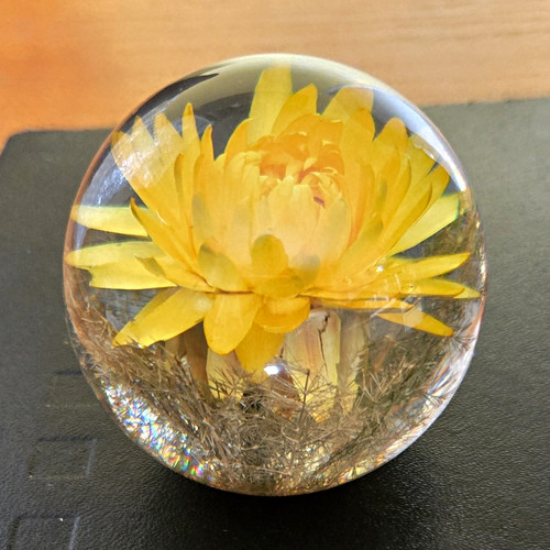 Hafod grange paperweights - hafod,