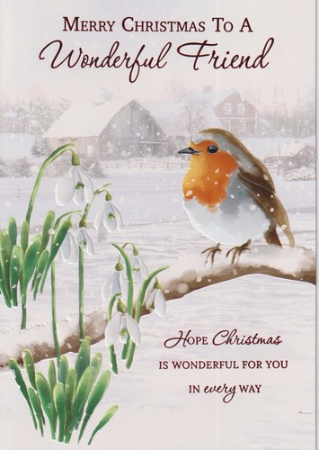 Wonderful friend christmas - wonderful,