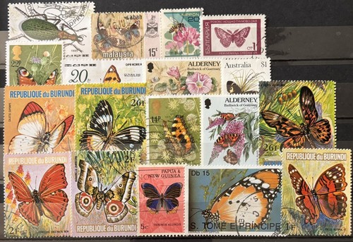 Butterflies nature thematic - nature,