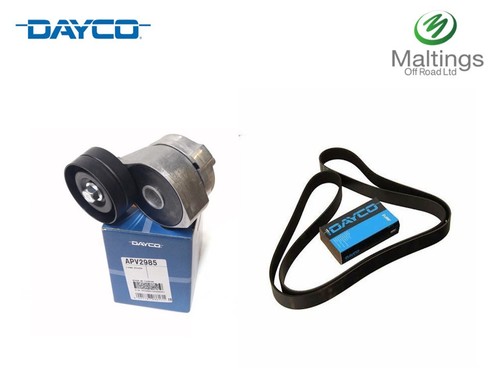 Dayco td5 auxiliary belt - auxiliary,