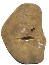 1X Teak Wild Tree Slice Teak